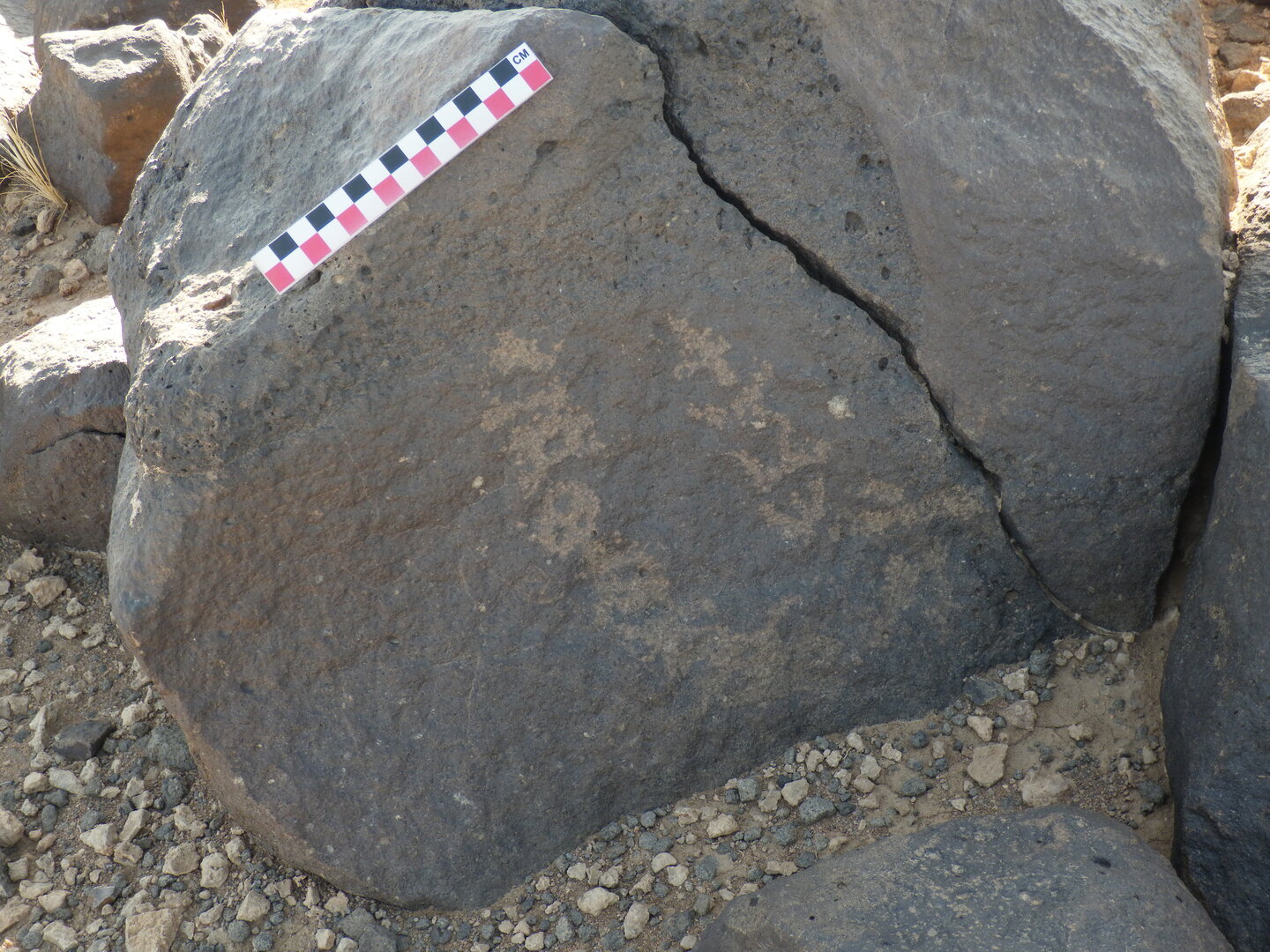 Image of BES26_HRN1 18