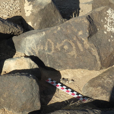 Image of BES26_HRN1 24