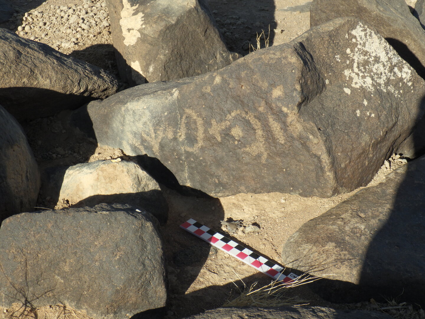 Image of BES26_HRN1 24
