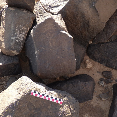 Image of BES26_HRN1 25