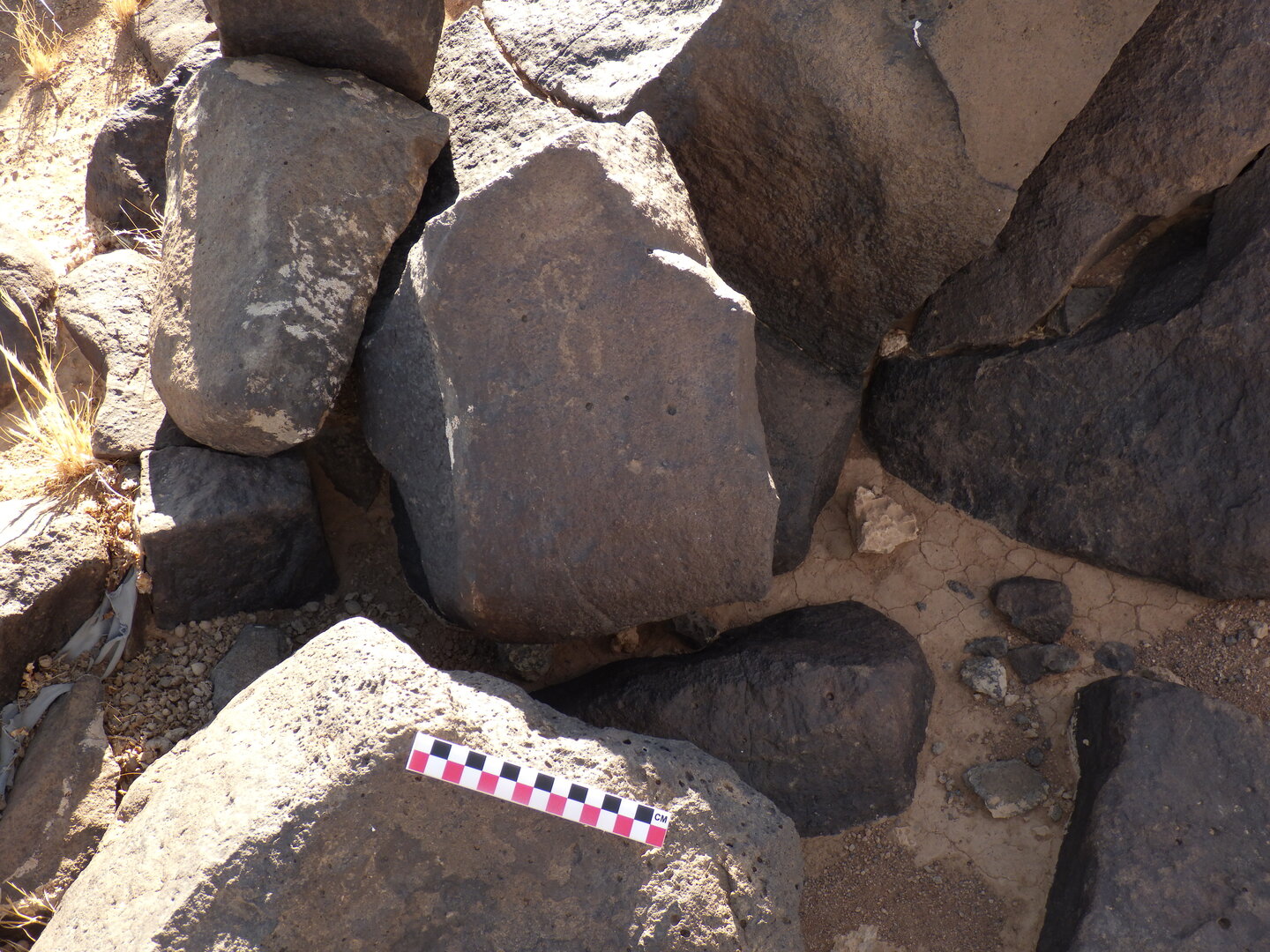 Image of BES26_HRN1 25