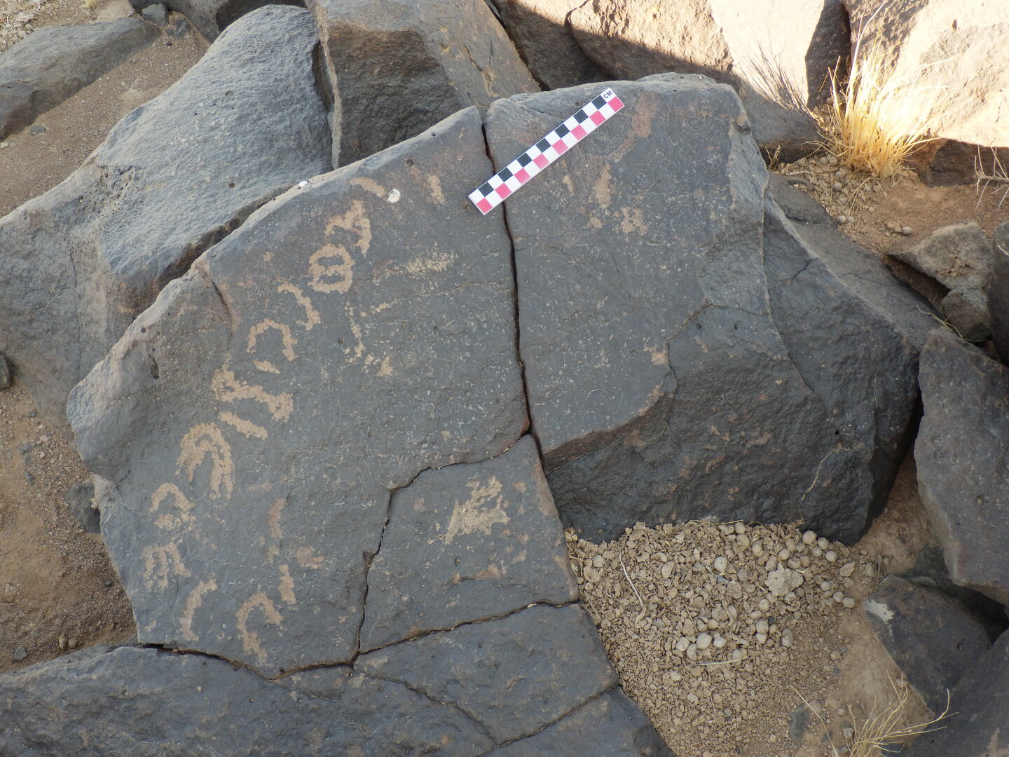 Image of BES26_HRN1 27