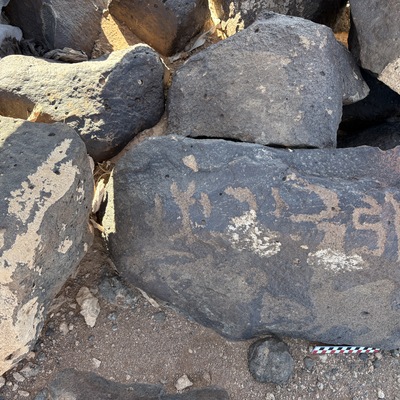 Image of BES26_HRN1 3