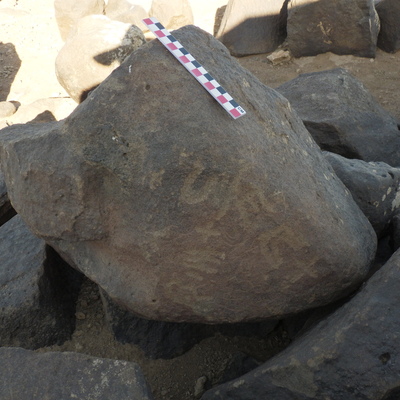 Image of BES26_HRN1 29