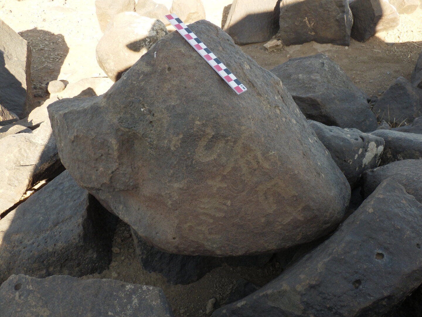 Image of BES26_HRN1 29
