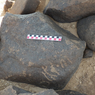Image of BES26_HRN1 32