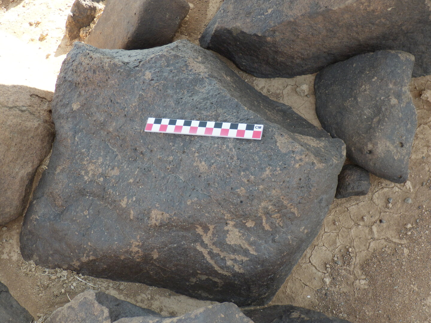 Image of BES26_HRN1 32