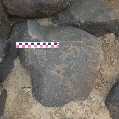 Image of BES26_HRN1 33