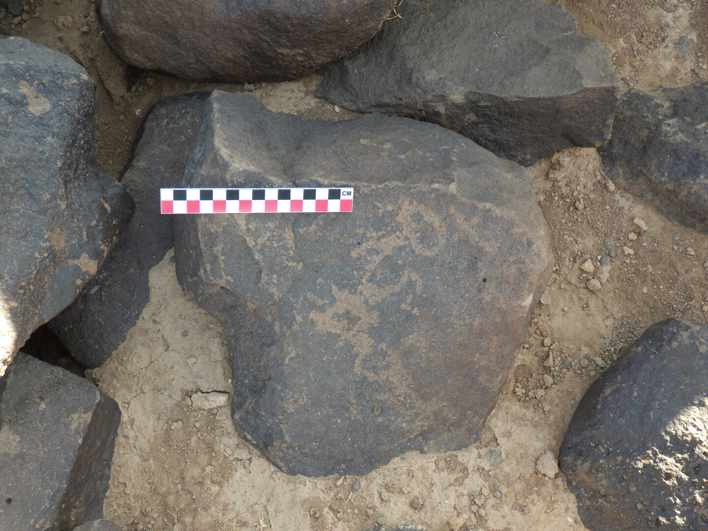Image of BES26_HRN1 33