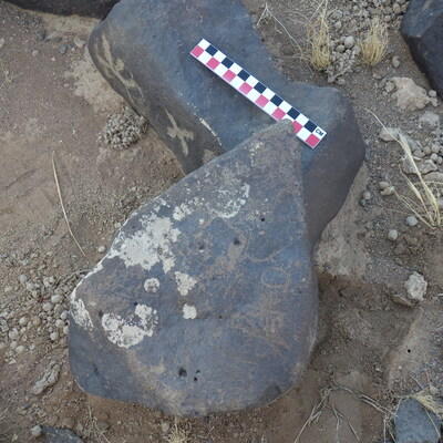 Image of BES26_HRN1 35