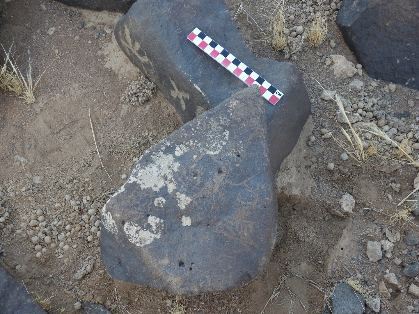 Image of BES26_HRN1 35