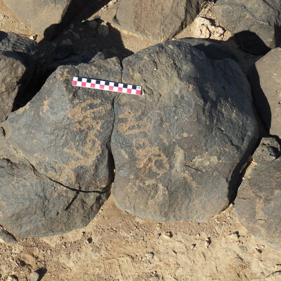Image of BES26_HRN1 45