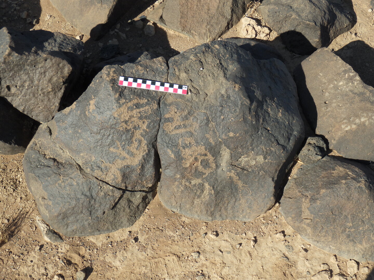 Image of BES26_HRN1 45