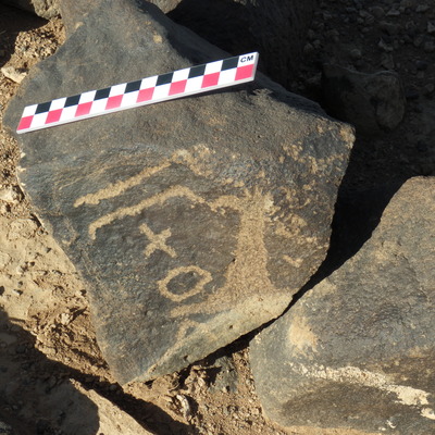 Image of BES26_HRN1 47