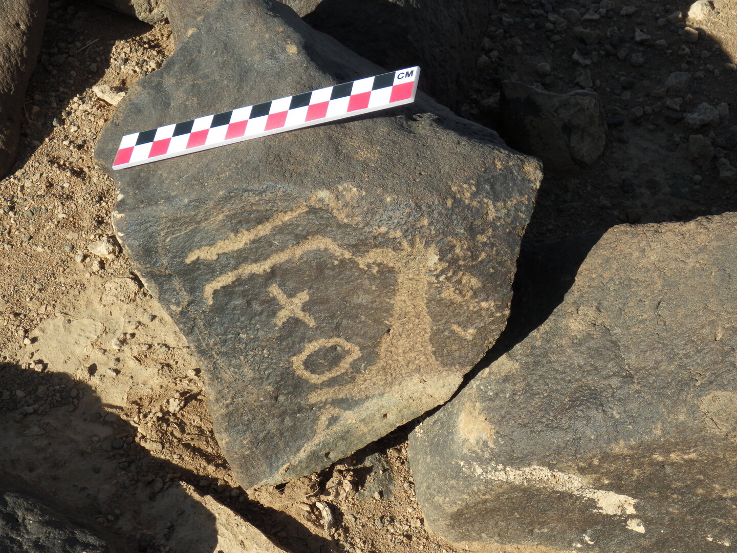 Image of BES26_HRN1 47