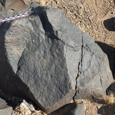 Image of BES26_HRN1 48