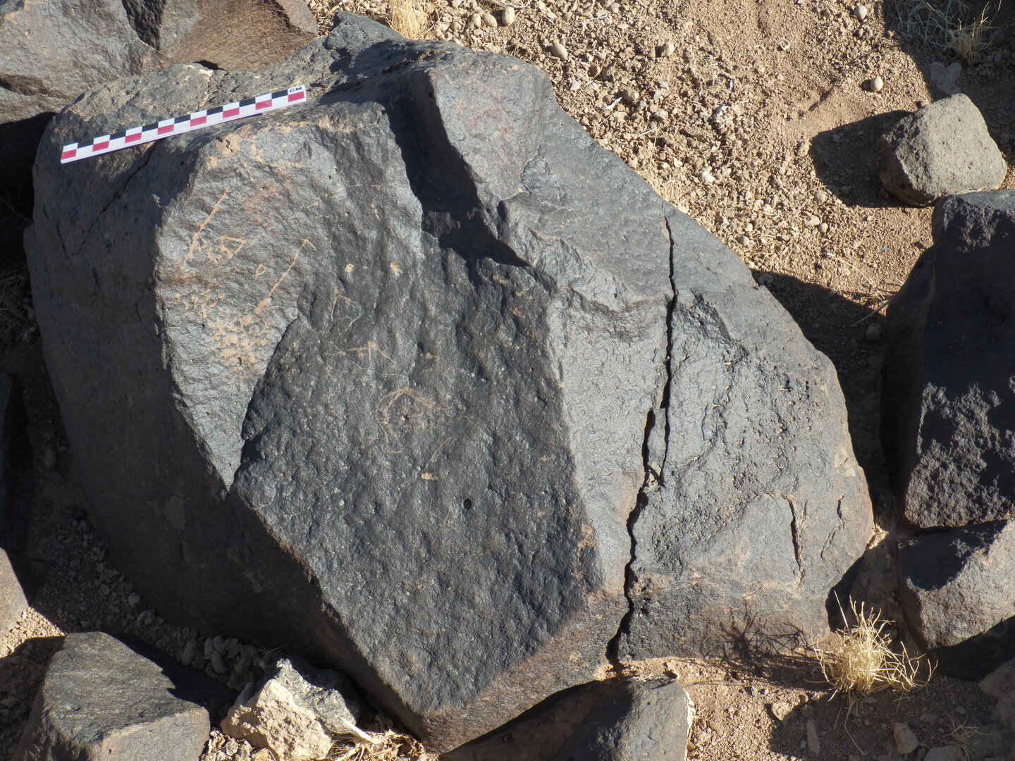 Image of BES26_HRN1 48