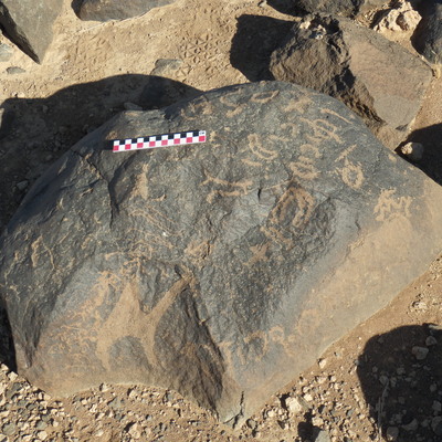 Image of BES26_HRN1 49