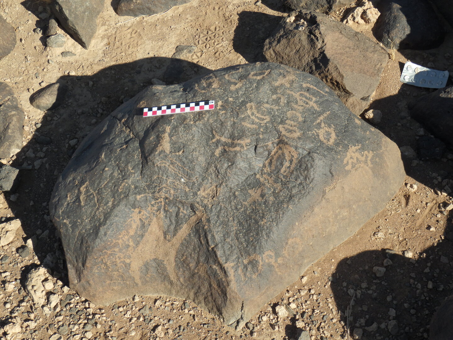 Image of BES26_HRN1 49