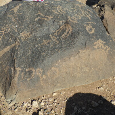 Image of BES26_HRN1 50