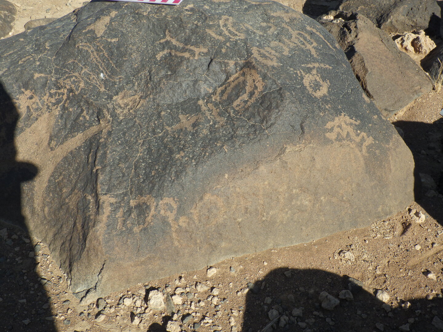 Image of BES26_HRN1 50