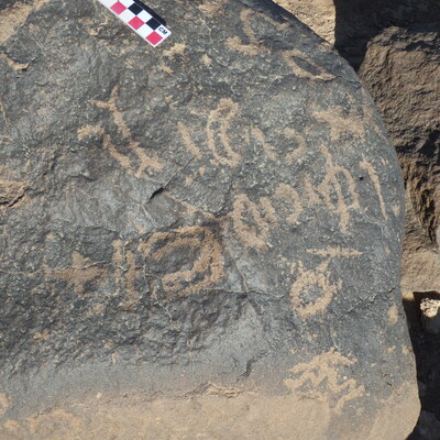 Image of BES26_HRN1 51