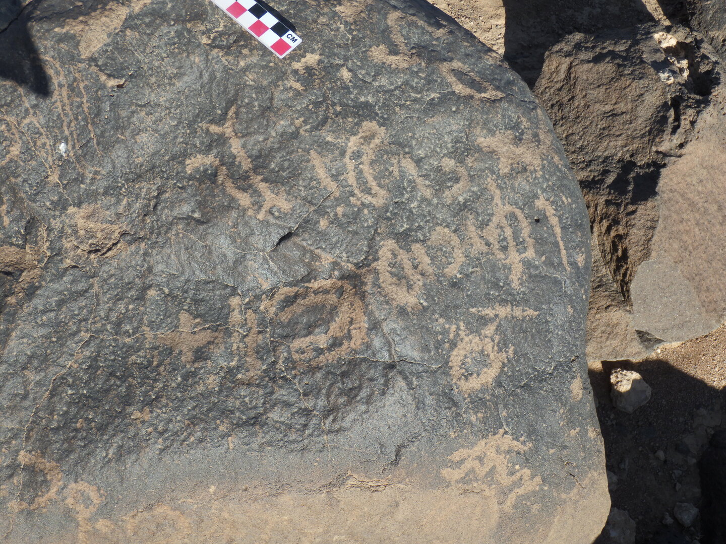 Image of BES26_HRN1 51
