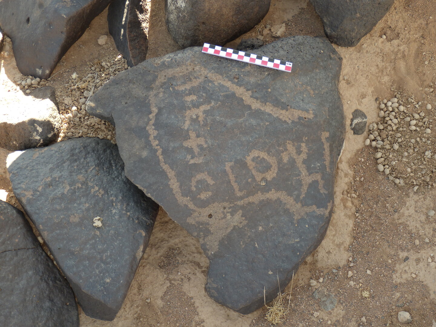 Image of BES26_HRN1 55