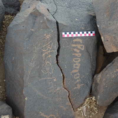 Image of BES26_HRN1 55