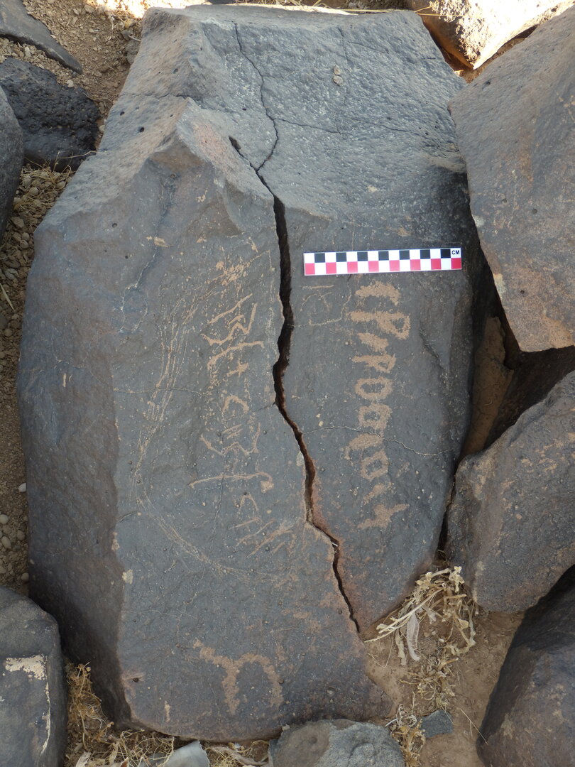 Image of BES26_HRN1 55