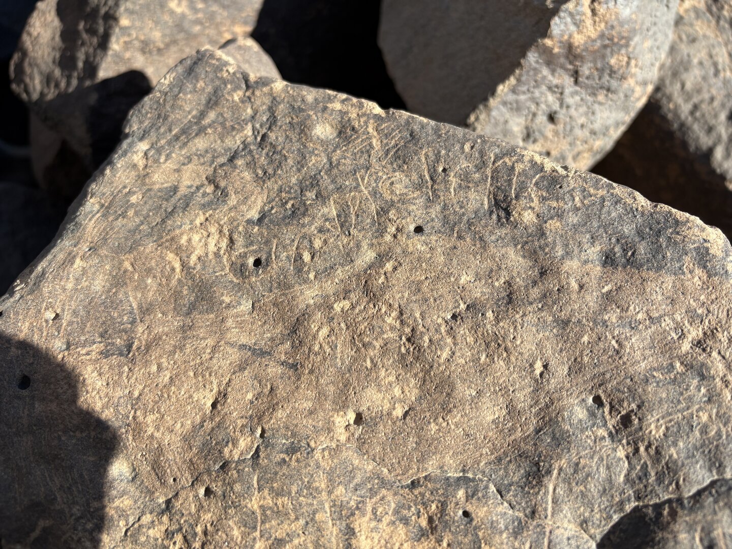 Image of BES26_HRN1 58