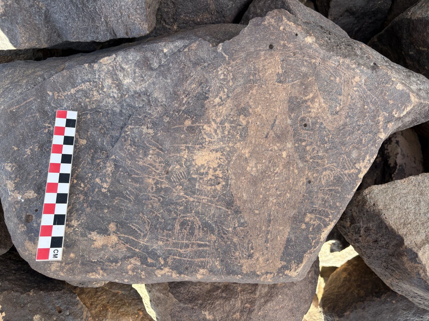 Image of BES26_HRN1 58