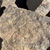Image of BES26_HRN1 58