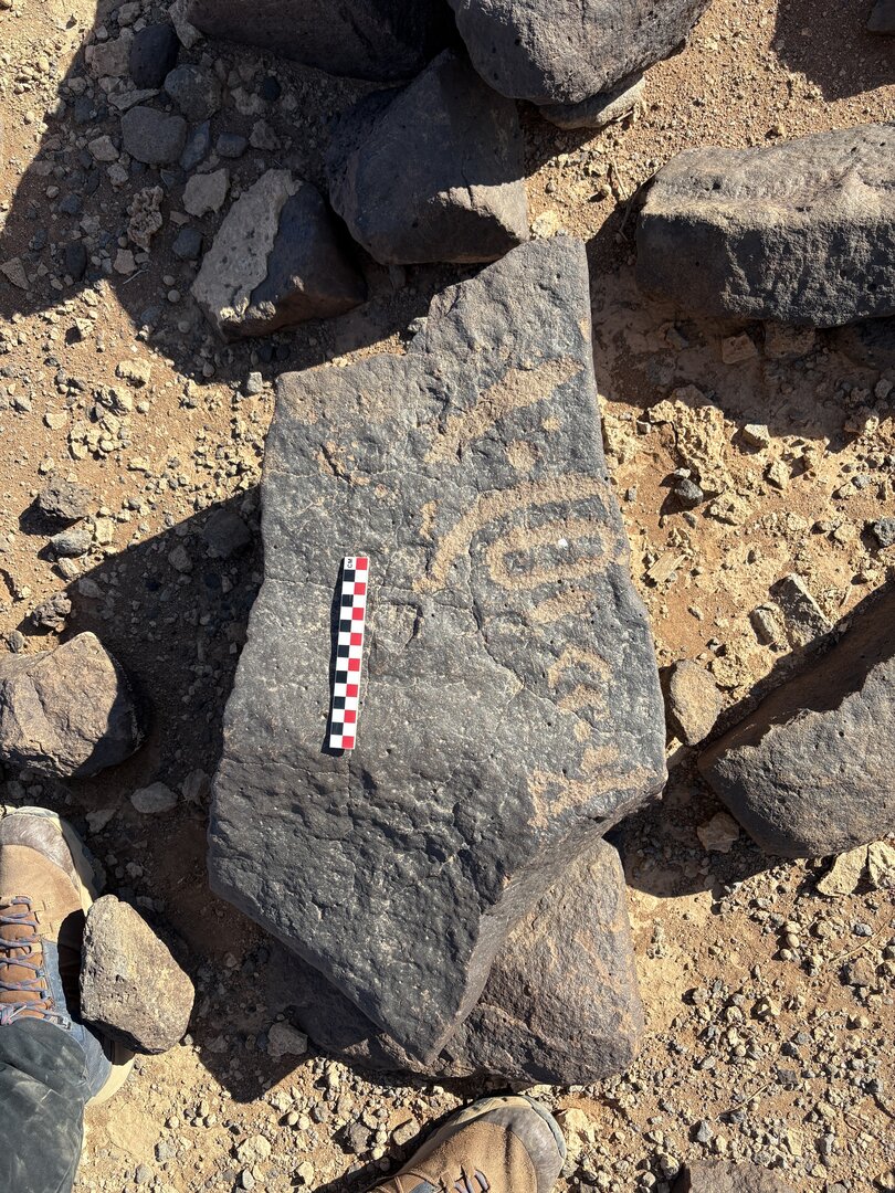 Image of BES26_HRN1 62