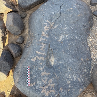 Image of BES26_HRN1 63
