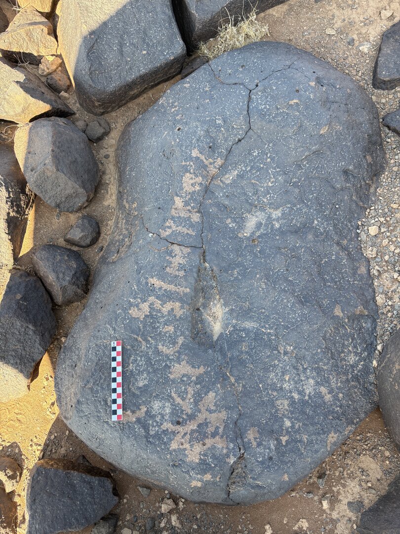 Image of BES26_HRN1 63