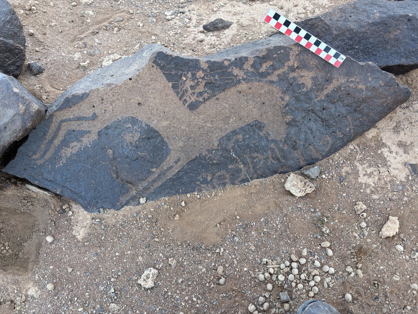 Image of BES26_HRN1 65