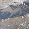 Image of BES26_HRN1 65