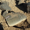 Image of BES26_HRN1 65