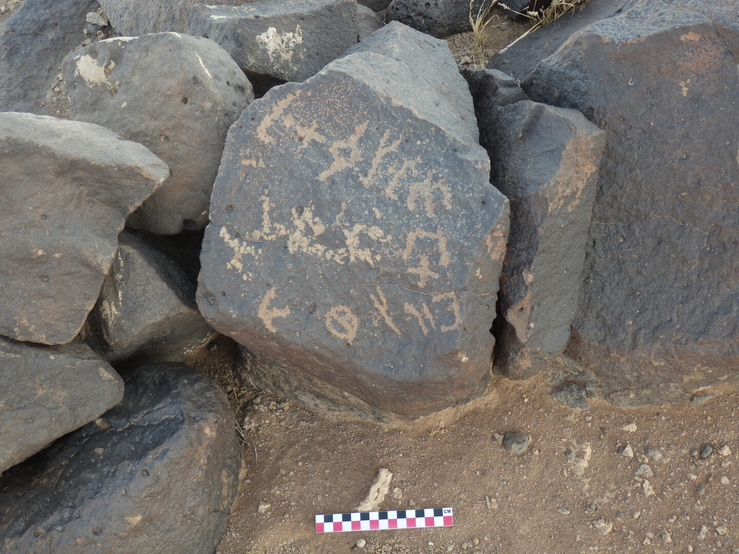 Image of BES26_HRN1 7
