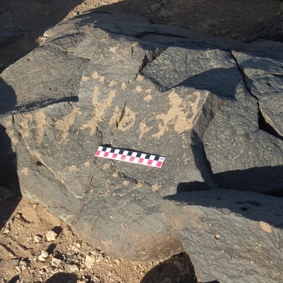 Image of BES26_HRN1 8