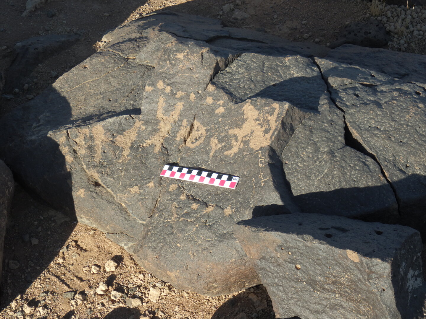 Image of BES26_HRN1 8