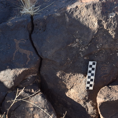 Image of BES26_HRN2 10