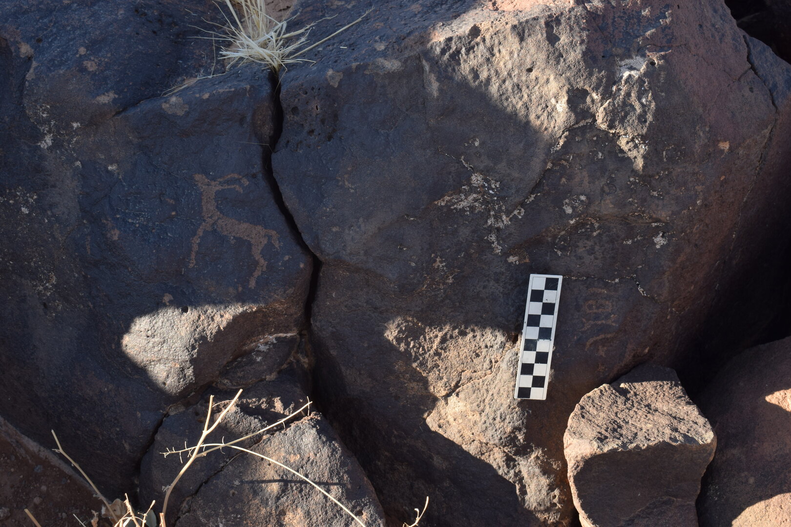 Image of BES26_HRN2 10