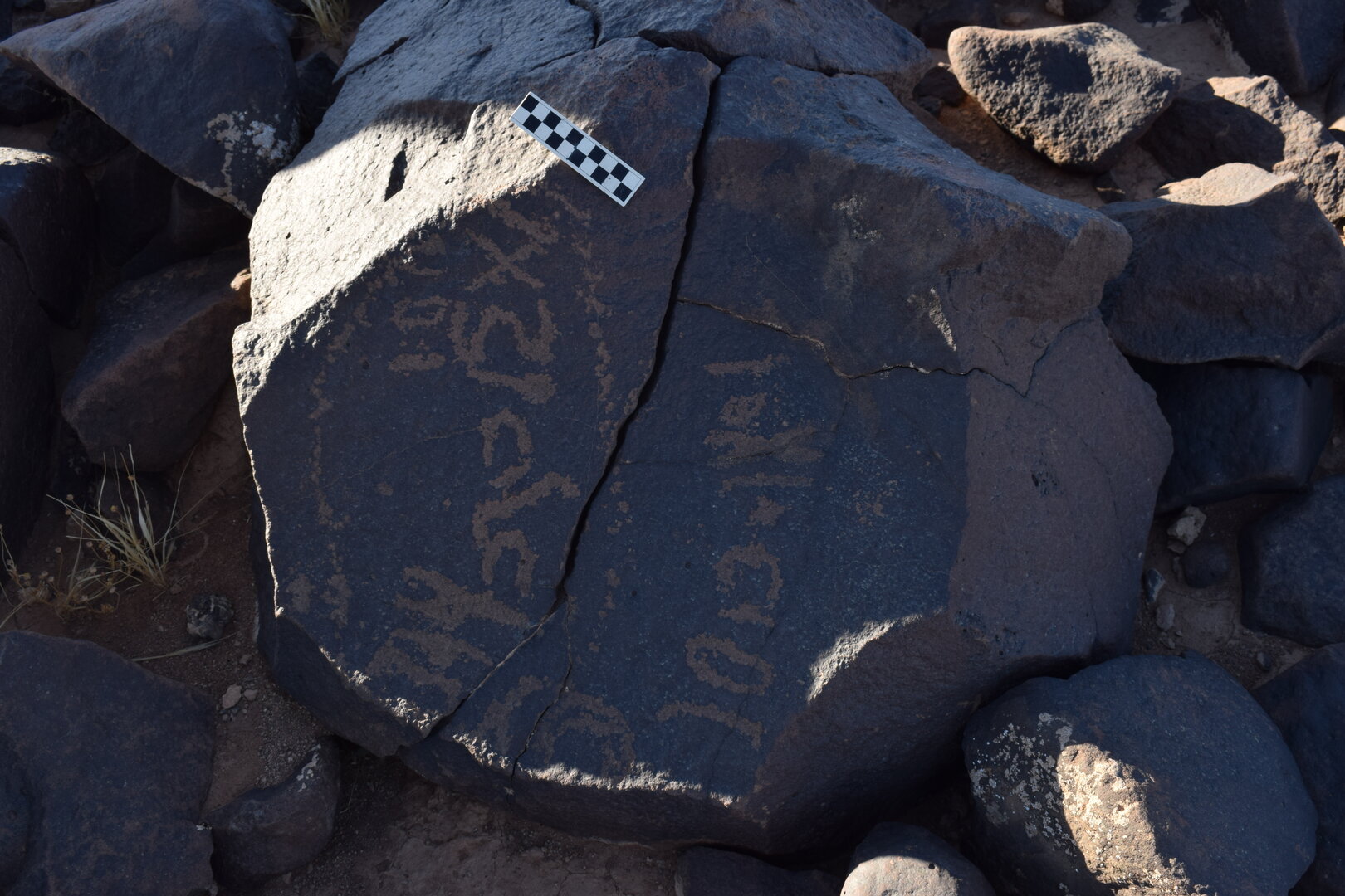 Image of BES26_HRN2 1