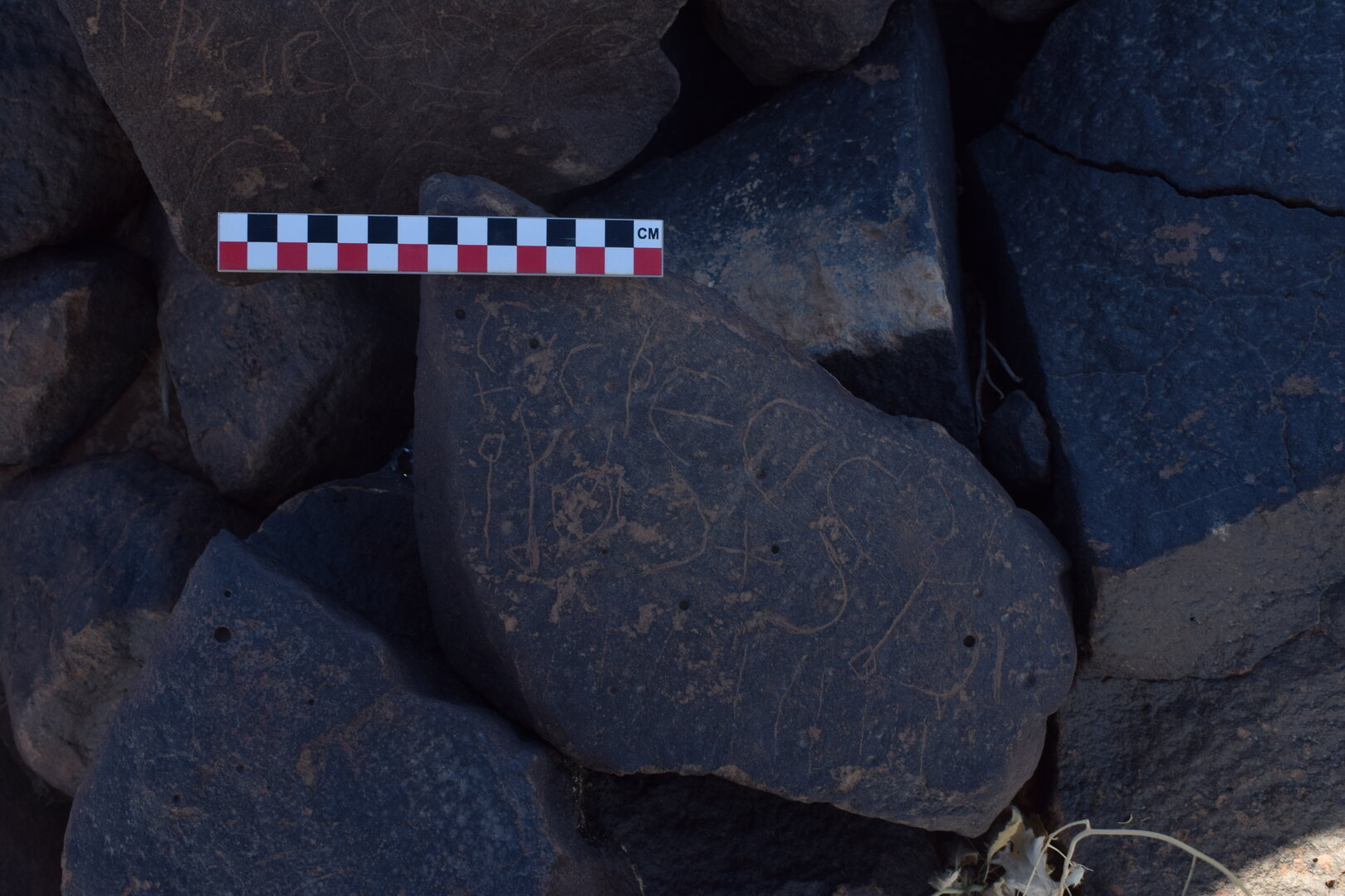 Image of BES26_HRN2 1