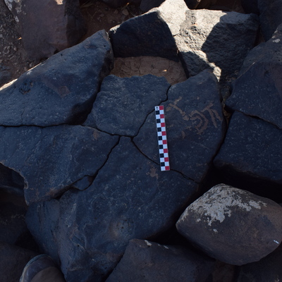 Image of BES26_HRN2 5
