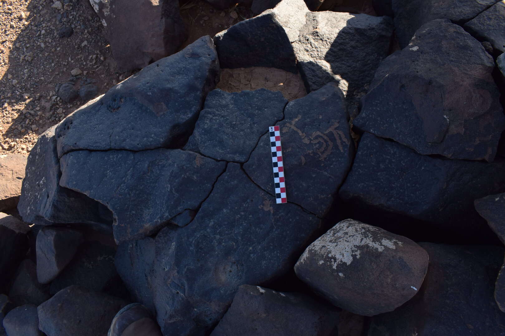 Image of BES26_HRN2 5