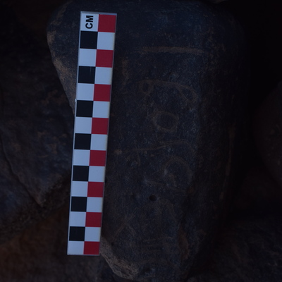Image of BES26_HRN2 6
