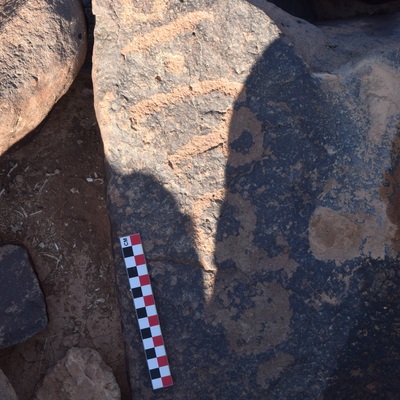 Image of BES26_HRN2 7